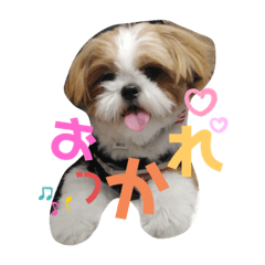 もぐすたんぷ