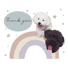 cocoyuzu__coton sticker