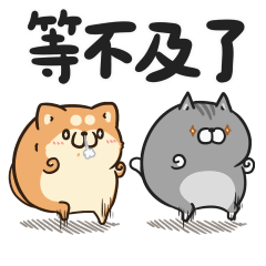 胖胖的狗和貓