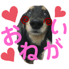 OMOCHI_20210129220824