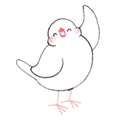 The Pino of a java sparrow 2