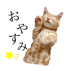 Natsumi_20210129181257