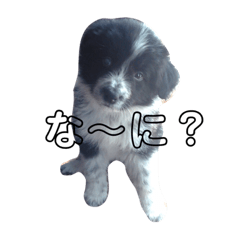 rinakonbu_20210130072421