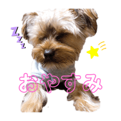 ayumi_20210130090408