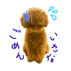 aoi_20210130100703
