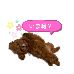 rinrinairin_20210129214937