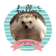 saori_20210129185627