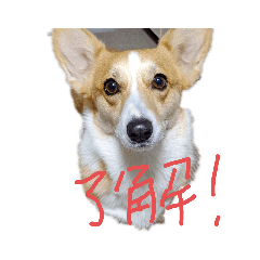 Kaito_20210130112604