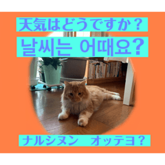 Tinytot_20210130120452