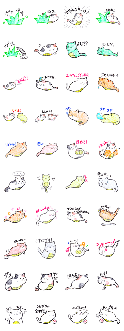 Tsuchinoko-Cat