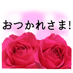 A floral message! Rose