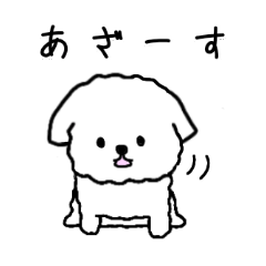 White fluffy toy poodle stamp  2