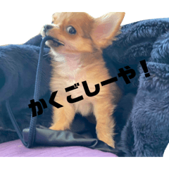 saori_20210130123927