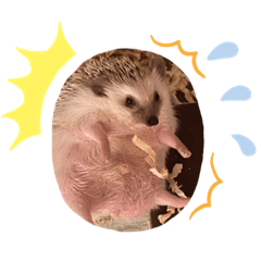 saori_20210130142049