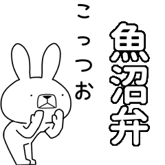 BIG Dialect rabbit[uonuma]