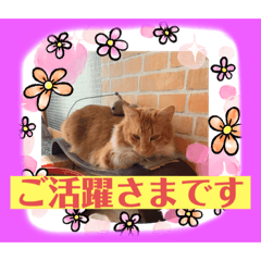 Tinytot_20210130132039