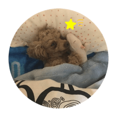 Arisa_20210130145633