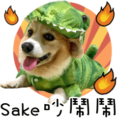 Sake吵鬧鬧