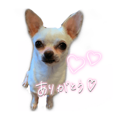 NANAMI_20210130175149