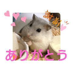 AKIKO_20210130191918