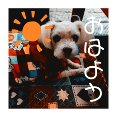 yuka_20210130220008