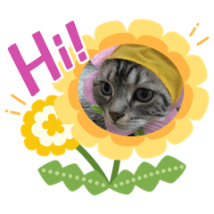 yukari_20210131080313