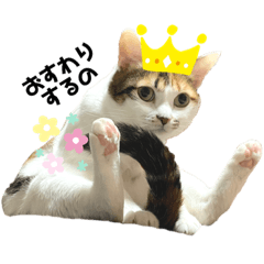 tomomi_20210130182627