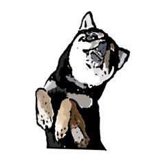 I am Subuta of shibainu