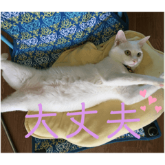 MIMI_20210130231330