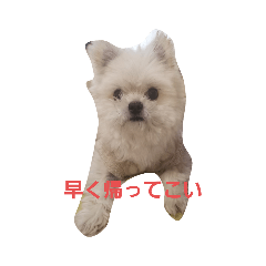 ken_20210131104409