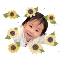 Himawari__coton sticker