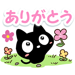 Very cute black cat2