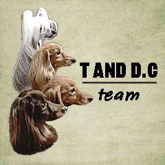 team T and D.C