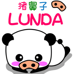 Pig-nose Lunda [Chinese version]