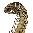 Sleepy Centipede (J)