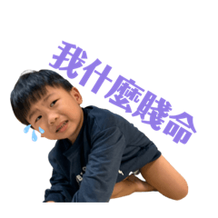 楷爸楷媽金句第二彈