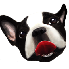 Cutie French Bulldog Stickers