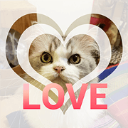 Cat Lovers V4