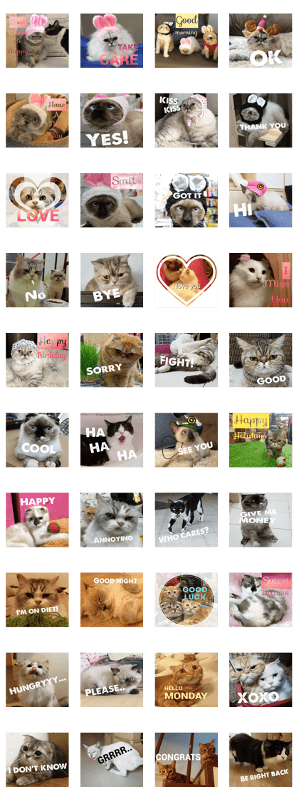 Cat Lovers V4