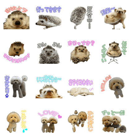 MOCOOCHIK'S Sticker