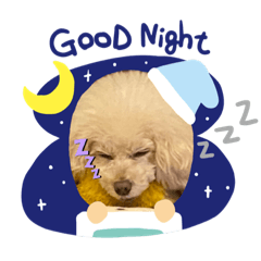 cocoa_20210131144138