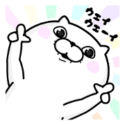 Cat 100% 2017