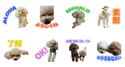 Cream CUTE Sticker
