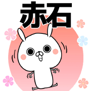 Akaishi Name Sticker