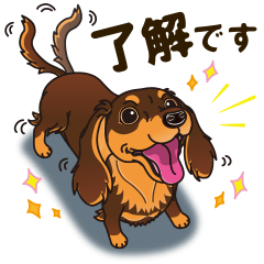 A sticker willingly. Dachshund (C&T) 2