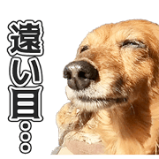 MOMOTAROMOMOCHURAMOZUKU Sticker