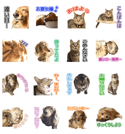 MOMOTAROMOMOCHURAMOZUKU Sticker