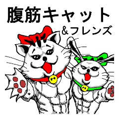 Abdominal muscle Cat and Friends