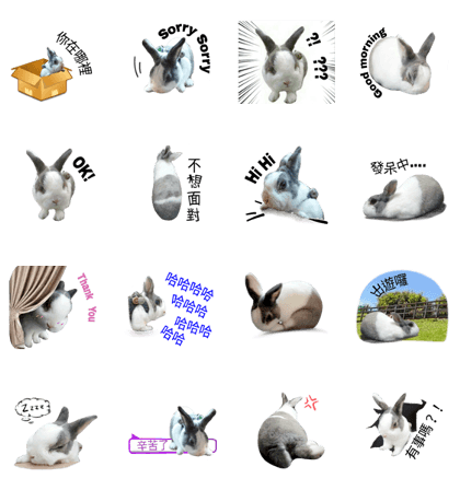 Pet Rabbit - Goling