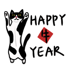 Every Year Is Cat Year